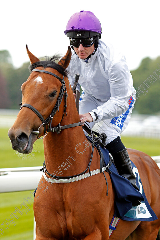 Charming-Kid-0001 
 CHARMING KID (Paul Hanagan) before winning The British Stallion Studs EBF Novice Stakes York 16 May 2018 - Pic Steven Cargill / Racingfotos.com