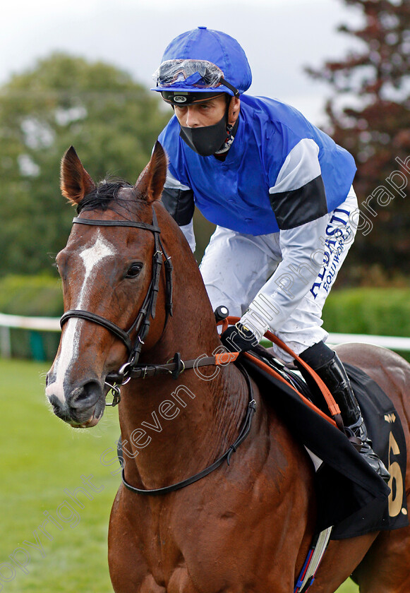 Wonderwork-0002 
 WONDERWORK (Ben Curtis)
Nottingham 14 Oct 2020 - Pic Steven Cargill / Racingfotos.com