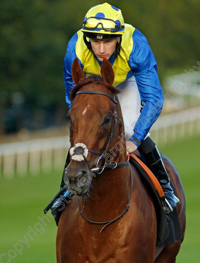 Oliver-Show-0001 
 OLIVER SHOW (Richard Kingscote)
Newmarket 28 Jul 2023 - Pic Steven Cargill / Racingfotos.com