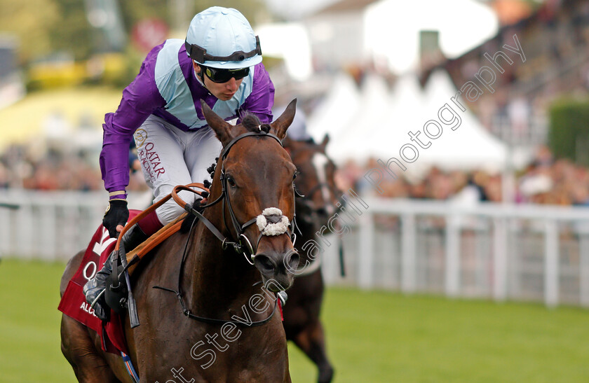 Alcohol-Free-0007 
 ALCOHOL FREE (Oisin Murphy) wins The Qatar Sussex Stakes
Goodwood 28 Jul 2021 - Pic Steven Cargill / Racingfotos.com