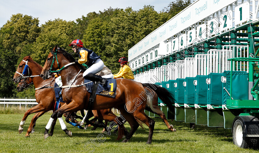 Bro-Park-0006 
 Breaking from the stalls during The Women Jockeys' World Cup
Bro Park, Sweden 30 Jun 2019 - Pic Steven Cargill / Racingfotos.com