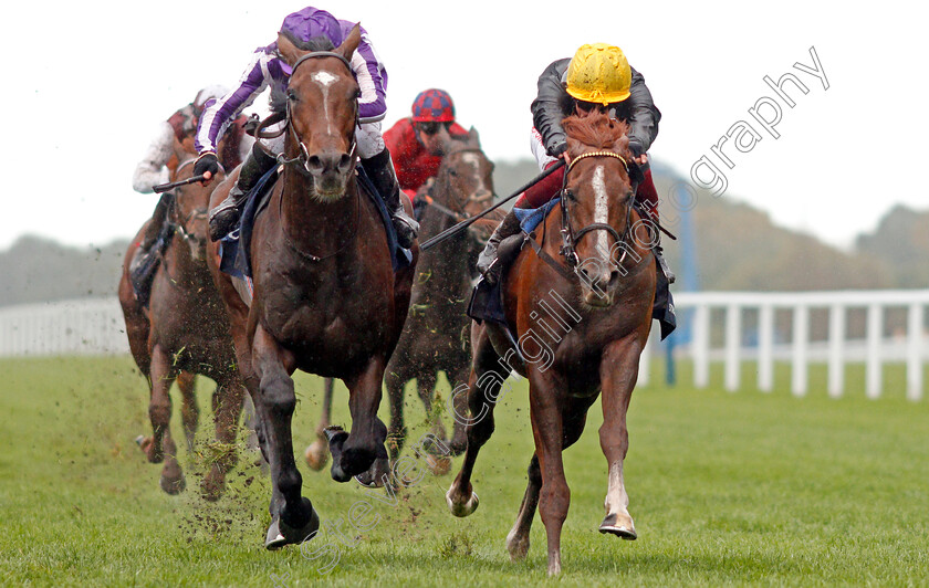 Kew-Gardens-0004 
 KEW GARDENS (left, Donnacha O'Brien) beats STRADIVARIUS (right) in The Qipco British Champions Long Distance Cup
Ascot 19 Oct 2019 - Pic Steven Cargill / Racingfotos.com