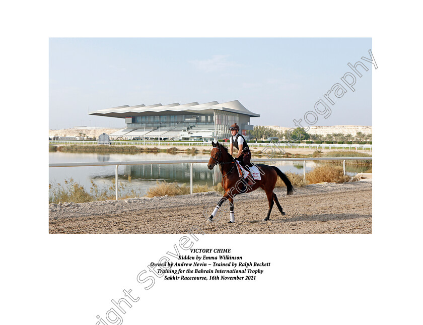 Victory-Chime-0001xx 
 VICTORY CHIME exercising in preparation for Friday's Bahrain International Trophy
Sakhir Racecourse, Bahrain 16 Nov 2021 - Pic Steven Cargill / Racingfotos.com