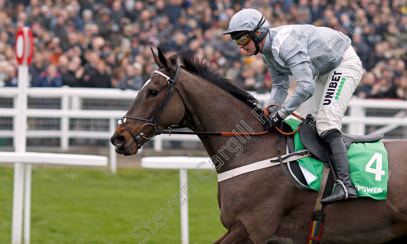 Santini-0012 
 SANTINI (Nico de Boinville) wins The Paddy Power Cotswold Chase
Cheltenham 25 Jan 2020 - Pic Steven Cargill / Racingfotos.com