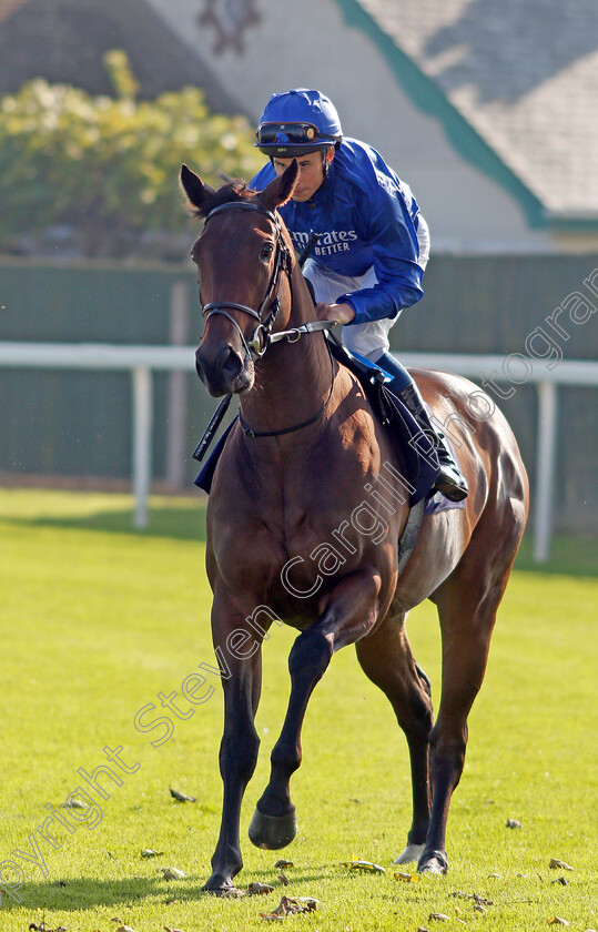 Show-Lights-0001 
 SHOW LIGHTS (William Buick)
Yarmouth 19 Oct 2021 - Pic Steven Cargill / Racingfotos.com