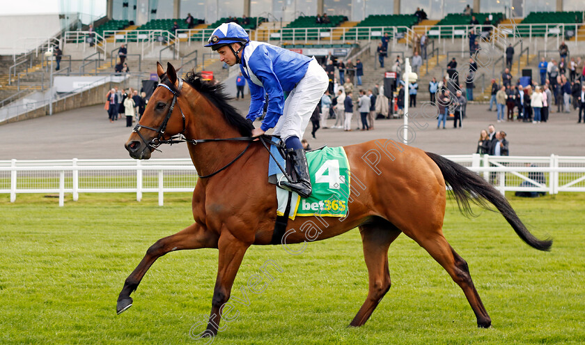 Lord-North-0002 
 LORD NORTH (William Buick)
Sandown 26 Apr 2024 - Pic Steven Cargill / Racingfotos.com