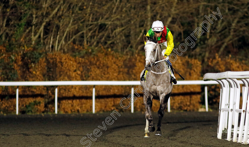 Champagne-Prince-0007 
 CHAMPAGNE PRINCE (William Buick) winner of The Unibet Wild Flower Stakes
Kempton 11 Dec 2024 - Pic Steven Cargill / Racingfotos.com