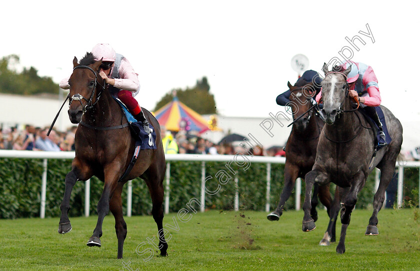 Too-Darn-Hot-0006 
 TOO DARN HOT (Frankie Dettori) wins The Howcroft Industrial Supplies Champagne Stakes
Doncaster 15 Sep 2018 - Pic Steven Cargill / Racingfotos.com