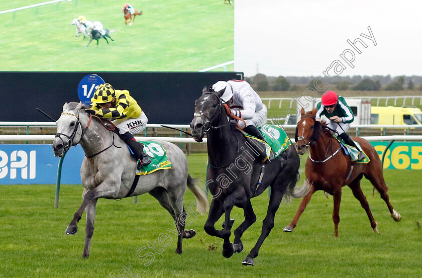 Alsakib-0002 
 ALSAKIB (right, James Doyle) beats SHADOW DANCE (left) in The bet365 Old Rowley Cup Handicap
Newmarket 13 Oct 2023 - Pic Steven Cargill / Racingfotos.com