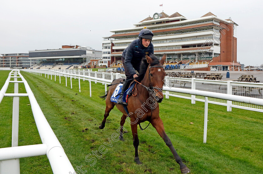 Ga-Law-0001 
 GA LAW (Will Featherstone)
Coral Gold Cup Gallops Morning
Newbury 21 Nov 2023 - Pic Steven Cargill / Racingfotos.com