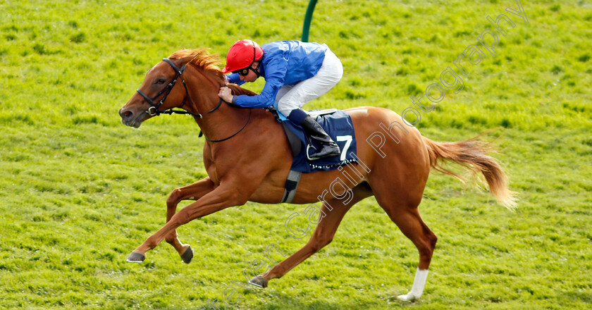 Mountain-Breeze-0004 
 MOUNTAIN BREEZE (William Buick) wins The Tattersalls EBF Fillies Novice Stakes
Newmarket 5 May 2024 - Pic Steven Cargill / Racingfotos.com