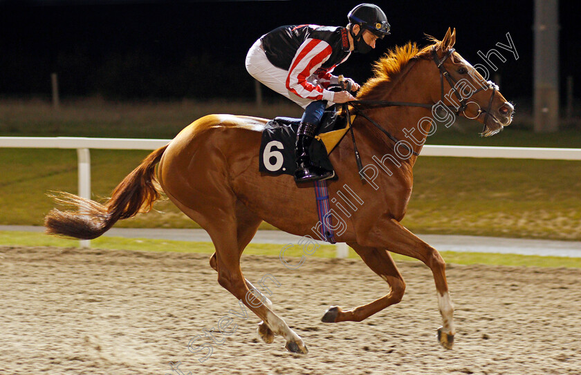 Man-Of-Light-0001 
 MAN OF LIGHT (Daniel Muscutt)
Chelmsford 8 Oct 2020 - Pic Steven Cargill / Racingfotos.com