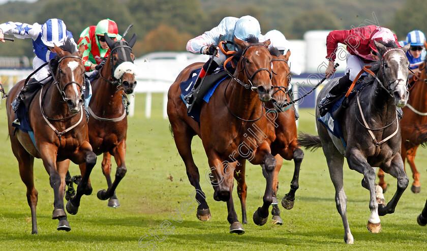 Graceful-Magic-0001 
 GRACEFUL MAGIC (right, Charles Bishop) beats STYLISTIQUE (centre) and SPECIAL SECRET (left) in The British Stallion Studs EBF Carrie Red Fillies Nursery
Doncaster 12 Sep 2019 - Pic Steven Cargill / Racingfotos.com