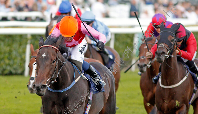 Breathtaking-Look-0004 
 BREATHTAKING LOOK (Jim Crowley) wins The Japan Racing Association Sceptre Stakes
Doncaster 13 Sep 2019 - Pic Steven Cargill / Racingfotos.com