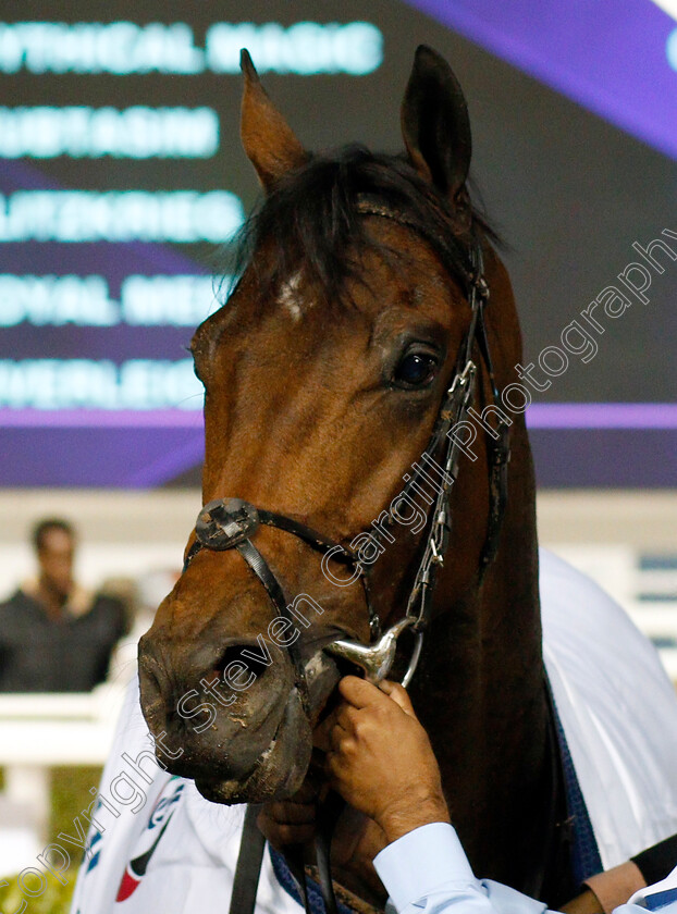 Glorious-Journey-0009 
 GLORIOUS JOURNEY after The Al Fahidi Fort
Meydan 23 Jan 2020 - Pic Steven Cargill / Racingfotos.com