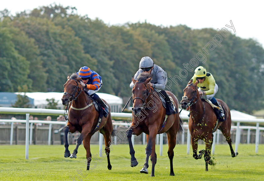 King s-Gamble-0003 
 KING'S GAMBLE (Daniel Tudhope) beats ZAIN BLUE (left) in The British Stallion Studs EBF Novice Stakes
Newmarket 4 Aug 2023 - Pic Steven Cargill / Racingfotos.com