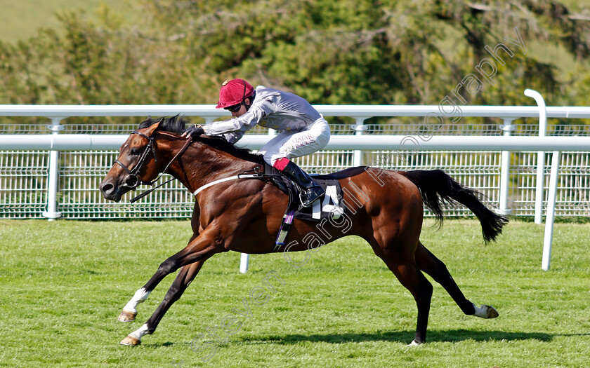 Toro-Strike-0005 
 TORO STRIKE (Oisin Murphy) wins The Theo Fennell Handicap
Goodwood 29 Jul 2020 - Pic Steven Cargill / Racingfotos.com