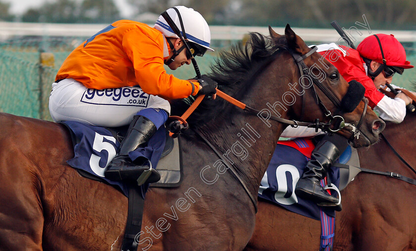 Prydwen-0005 
 PRYDWEN (Marco Ghiani) wins The Cazoo Search Drive Smile Handicap
Yarmouth 19 Oct 2021 - Pic Steven Cargill / Racingfotos.com