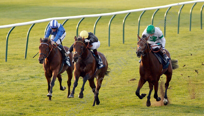 Ginistrelli-0001 
 GINISTRELLI (centre, Gerald Mosse) beats JAMES PARK WOODS (right) and FAYLAQ (left) in The British EBF Novice Stakes
Newmarket 24 Oct 2018 - Pic Steven Cargill / Racingfotos.com