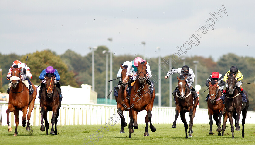 Sangarius-0003 
 SANGARIUS (centre, Ryan Moore) wins The Weatherbys Global Stallions App Flying Scotsman Stakes
Doncaster 14 Sep 2018 - Pic Steven Cargill / Racingfotos.com