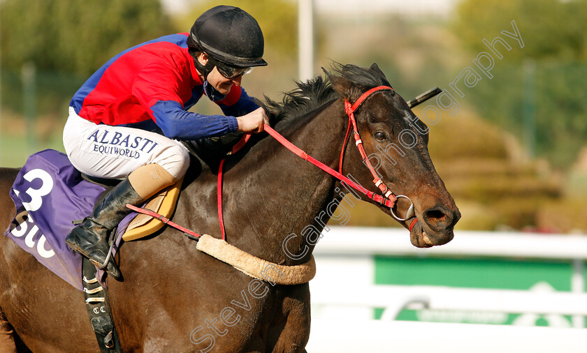 Alnashaas-0001 
 ALNASHAAS (Shane Foley) wins The STC International Jockeys Challenge Round 1
King Abdulaziz RaceCourse, Riyadh, Saudi Arabia 25 Feb 2022 - Pic Steven Cargill / Racingfotos.com