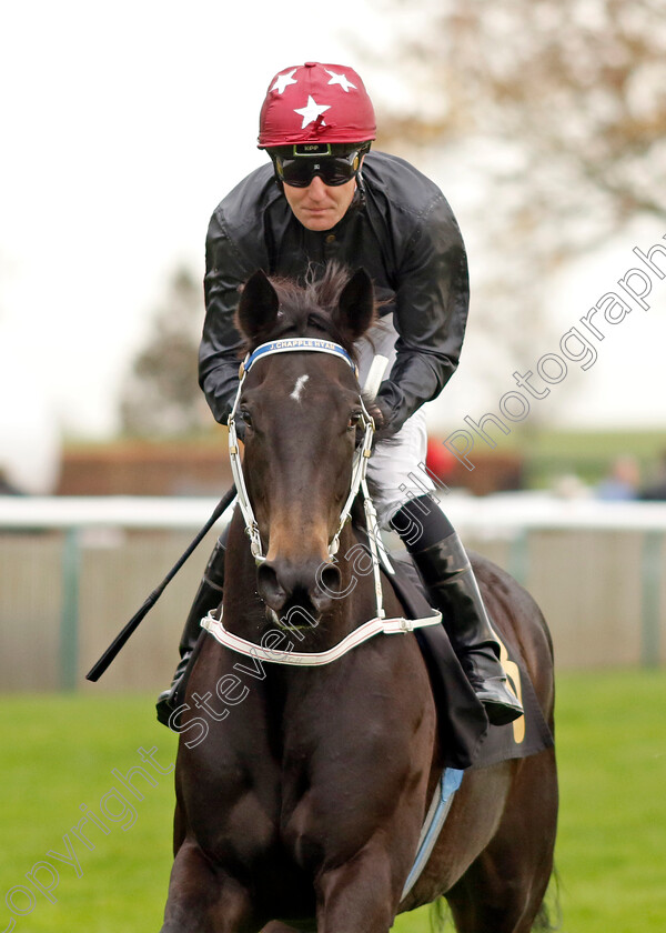 Marmara-Sea-0001 
 MARMARA SEA (Pat Cosgrave)
Newmarket 29 Oct 2022 - Pic Steven Cargill / Racingfotos.com