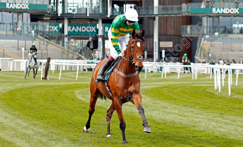 Phoenix-Way-0002 
 PHOENIX WAY (Aidan Coleman)
Aintree 8 Apr 2021 - Pic Steven Cargill / Racingfotos.com