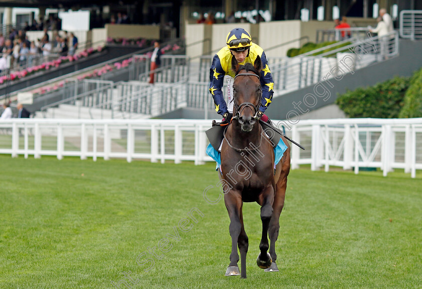 Tabletalk-0001 
 TABLETALK (Oisin Murphy)
Ascot 26 Jul 2024 - Pic Steven Cargill / Racingfotos.com