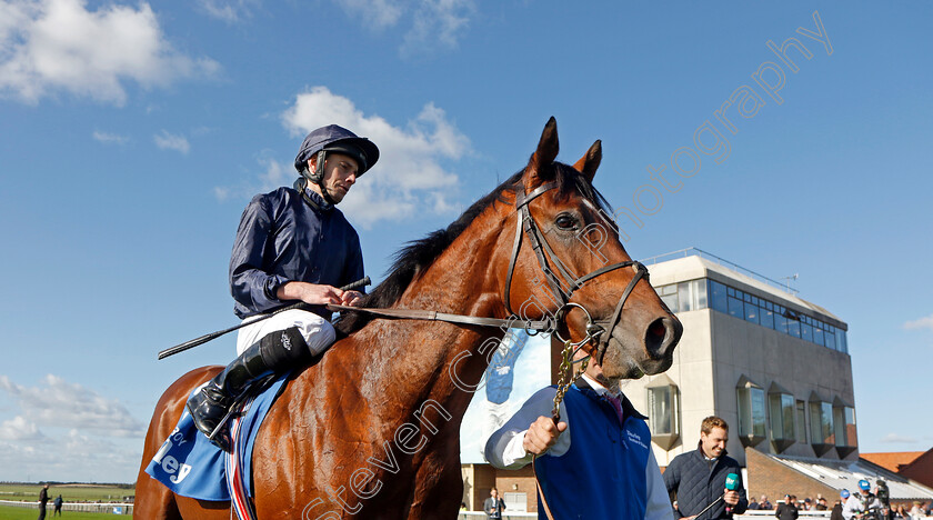 City-Of-Troy-0012 
 CITY OF TROY (Ryan Moore) winner of The Dewhurst Stakes
Newmarket 14 Oct 2023 - Pic Steven Cargill / Racingfotos.com