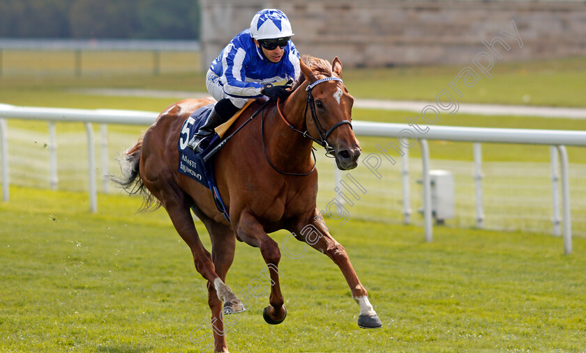 Queen-Power-0004 
 QUEEN POWER (Silvestre De Sousa) wins The Al Basti Equiworld Dubai Middleton Stakes
York 13 May 2021 - Pic Steven Cargill / Racingfotos.com