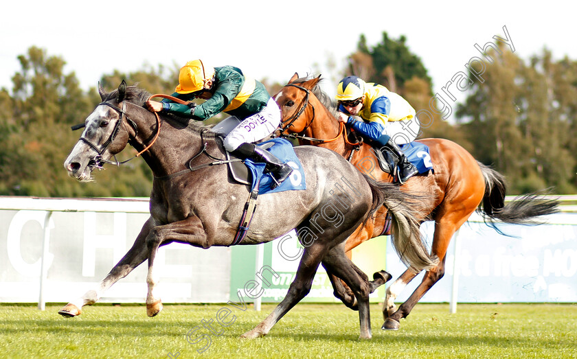 Chatham-House-0001 
 CHATHAM HOUSE (Sean Levey) wins The Mick Connolly Memorial Handicap
Leicester 10 Sep 2019 - Pic Steven Cargill / Racingfotos.com