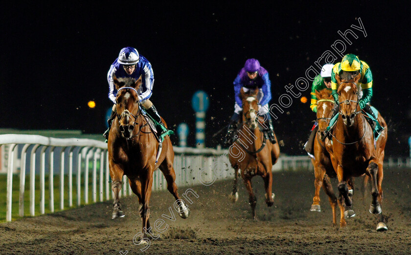 Top-Fox-0005 
 TOP FOX (Richard Kingscote) wins The Unibet Casino Deposit £10 Get £40 Bonus Maiden Stakes
Kempton 24 Feb 2021 - Pic Steven Cargill / Racingfotos.com