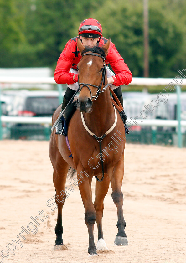 Tadasana-0001 
 TADASANA (Luke Morris)
Southwell 29 Apr 2019 - Pic Steven Cargill / Racingfotos.com