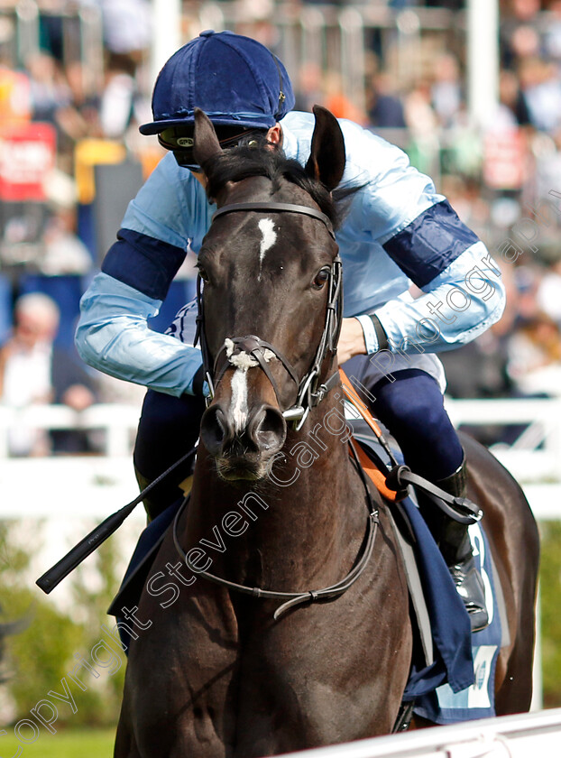 Estate-0001 
 ESTATE (David Probert)
Chester 5 May 2022 - Pic Steven Cargill / Racingfotos.com