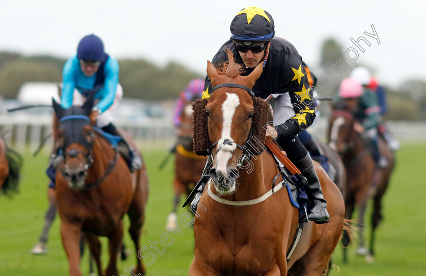 Tarbaan-0001 
 TARBAAN (Kevin Stott) wins The EAAA East Coast Air Ambulance Handicap
Yarmouth 19 Sep 2023 - Pic Steven Cargill / Racingfotos.com