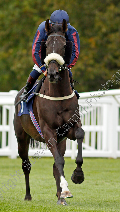 Its afreebee-0001 
 ITS'AFREEBEE (Hollie Doyle)
Lingfield 26 Aug 2020 - Pic Steven Cargill / Racingfotos.com