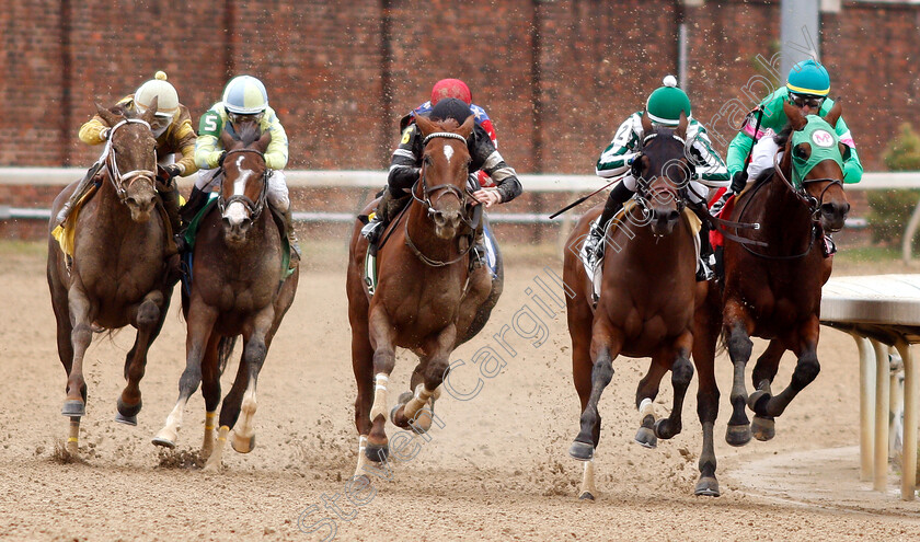 Dutch-Parrot-0005 
 DUTCH PARROT (left, Ricardo Santana Jr) wins Allowance Optional Claimer
Churchill Downs USA 2 Nov 2018 - Pic Steven Cargill / Racingfotos.com