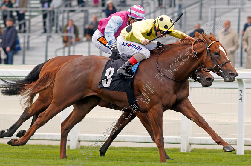 Cape-Byron-0004 
 CAPE BYRON (Andrea Atzeni) wins The Leo Bancroft Signature Hair Care Classified Stakes Ascot 8 Sep 2017 - Pic Steven Cargill / Racingfotos.com