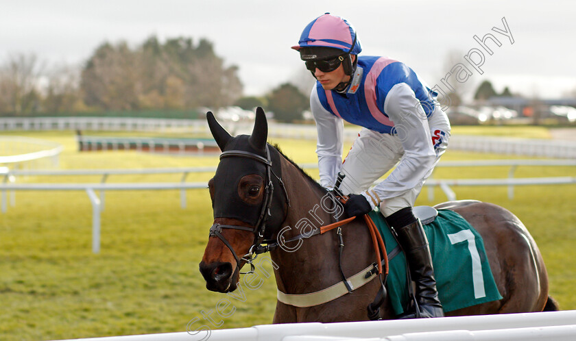 Theo-0001 
 THEO (Harry Cobden) Cheltenham 16 Dec 2017 - Pic Steven Cargill / Racingfotos.com