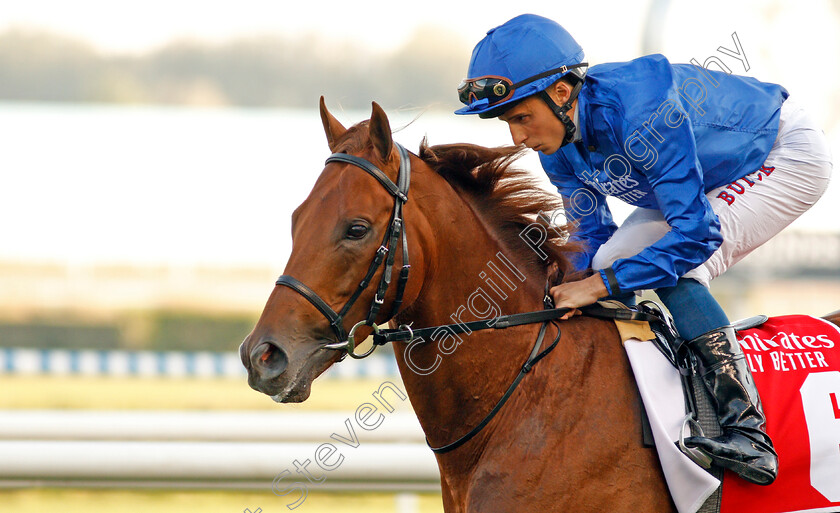 Space-Blues-0003 
 SPACE BLUES (William Buick)
Meydan 7 Mar 2020 - Pic Steven Cargill / Racingfotos.com