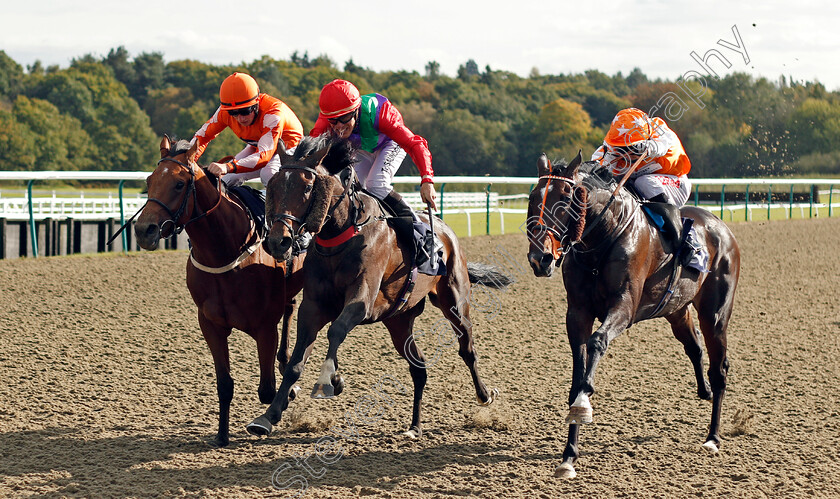 Imphal-0001 
 IMPHAL (centre, Tyler Saunders) beats FULHAM (left) and VEILED SECRET (right) in The #Takethereins Handicap Lingfield 5 Oct 2017 - Pic Steven Cargill / Racingfotos.com