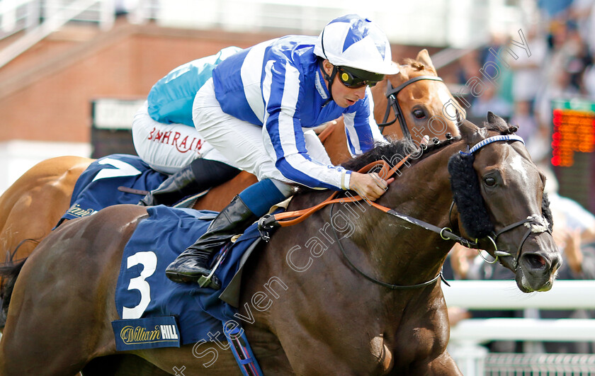 Fivethousandtoone-0002 
 FIVETHOUSANDTOONE (William Buick) wins The William Hill Best Odds Guaranteed Handicap
Goodwood 28 Aug 2022 - Pic Steven Cargill / Racingfotos.com