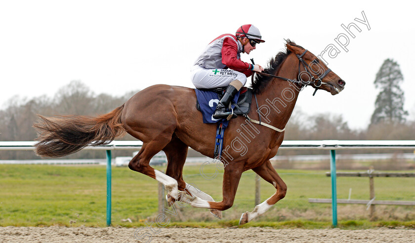 Estrela-Star-0005 
 ESTRELA STAR (Kieran O'Neill) wins The Play 4 To Score At Betway Handicap
Lingfield 14 Feb 2020 - Pic Steven Cargill / Racingfotos.com