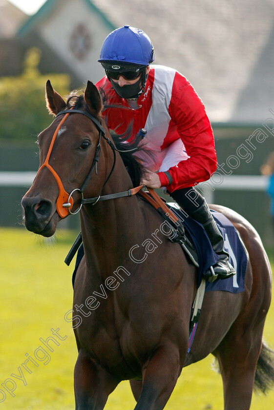 Candace-0001 
 CANDACE (Jack Mitchell)
Yarmouth 20 Oct 2020 - Pic Steven Cargill / Racingfotos.com