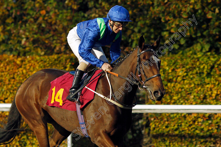 Steppes 
 STEPPES (Joe Fanning)
Kempton 10 Nov 2021 - Pic Steven Cargill / Racingfotos.com