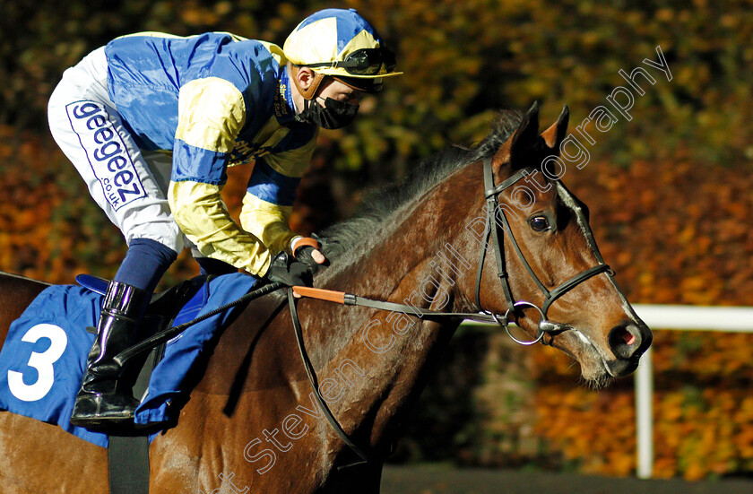 Chappaquiddick-0002 
 CHAPPAQUIDDICK (David Probert)
Kempton 11 Nov 2020 - Pic Steven Cargill / Racingfotos.com