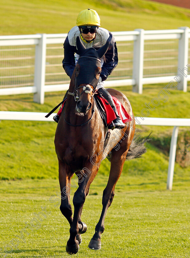 Apres-Dark-0001 
 APRES DARK (Stefano Cherchi)
Sandown 21 Jul 2021 - Pic Steven Cargill / Racingfotos.com