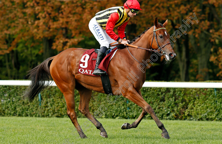 Who-Knows 
 WHO KNOWS (T Bachelot)
Longchamp 3 Oct 2021 - Pic Steven Cargill / Racingfotos.com