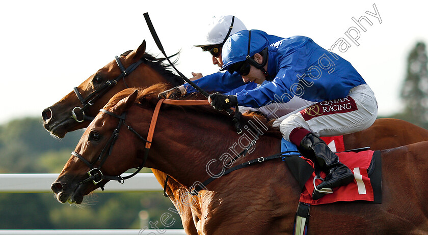 Native-Tribe-0006 
 NATIVE TRIBE (farside, William Buick) beats DUBAI MIRAGE (nearside) in The Slug And Lettuce 2-4-1 Tanqueray Thursdays EBF Maiden Stakes
Sandown 8 Aug 2019 - Pic Steven Cargill / Racingfotos.com