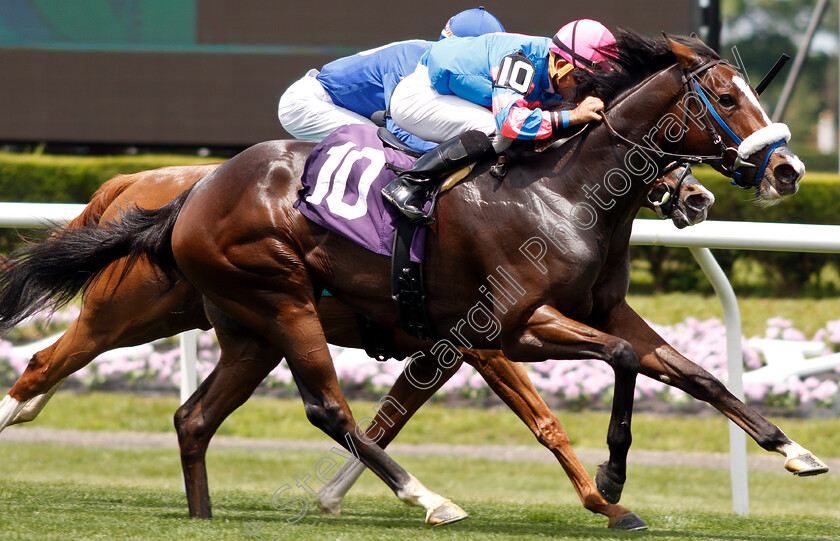 Noble-Jewel-0006 
 NOBLE JEWEL (Joel Rosario) wins Maiden
Belmont Park USA 7 Jun 2019 - Pic Steven Cargill / Racingfotos.com